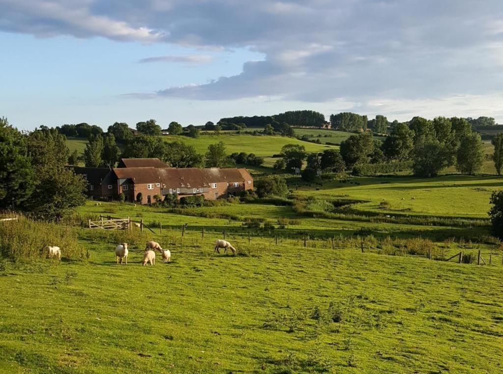 Winchelsea Lodge Eksteriør bilde